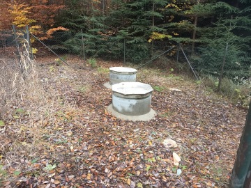 Úprava okolí studny.