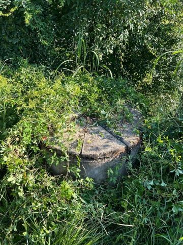Zarostlá studna vegetací.
